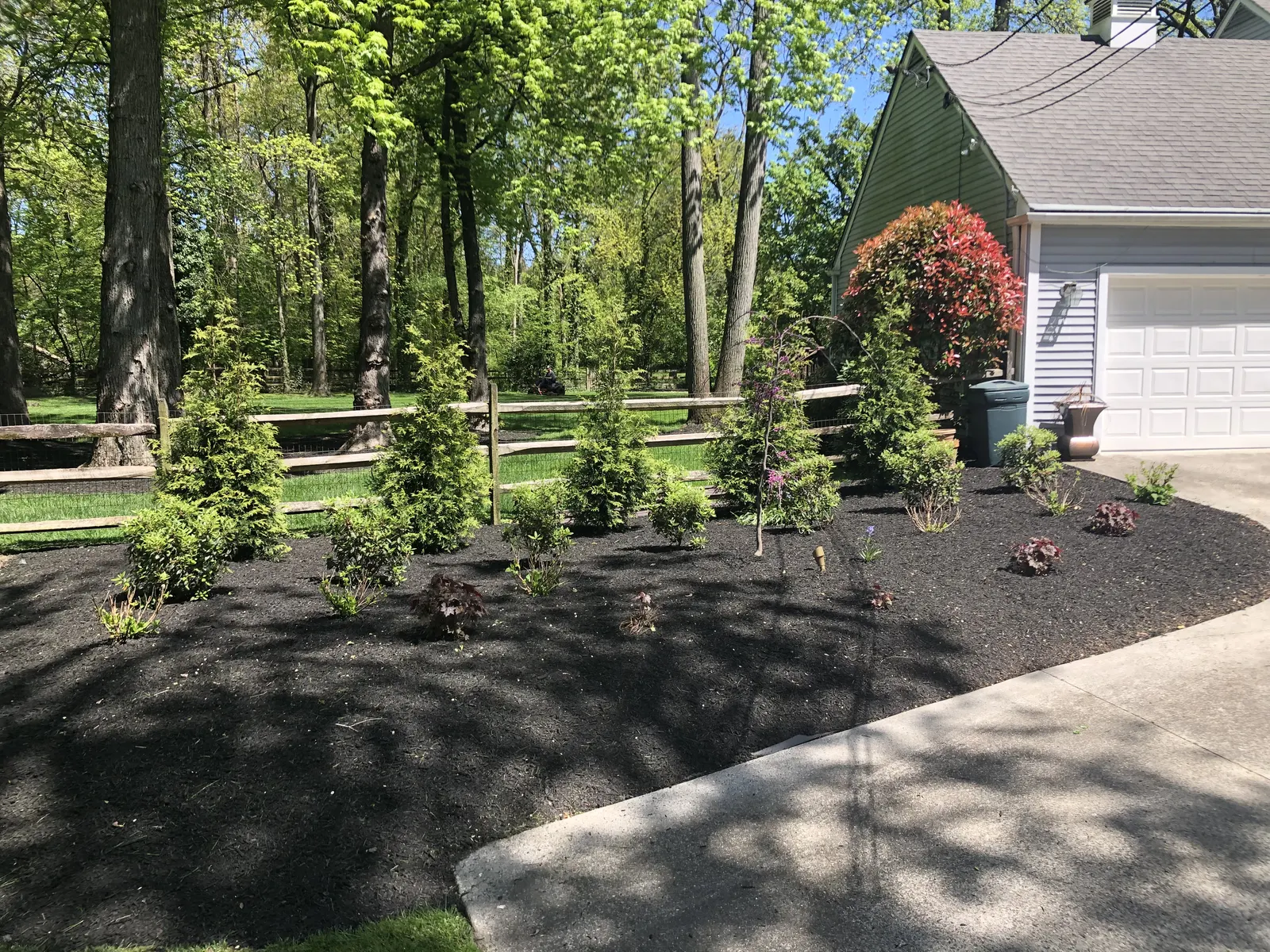 Driveway Planting Design by Down To Earth Landscaping.