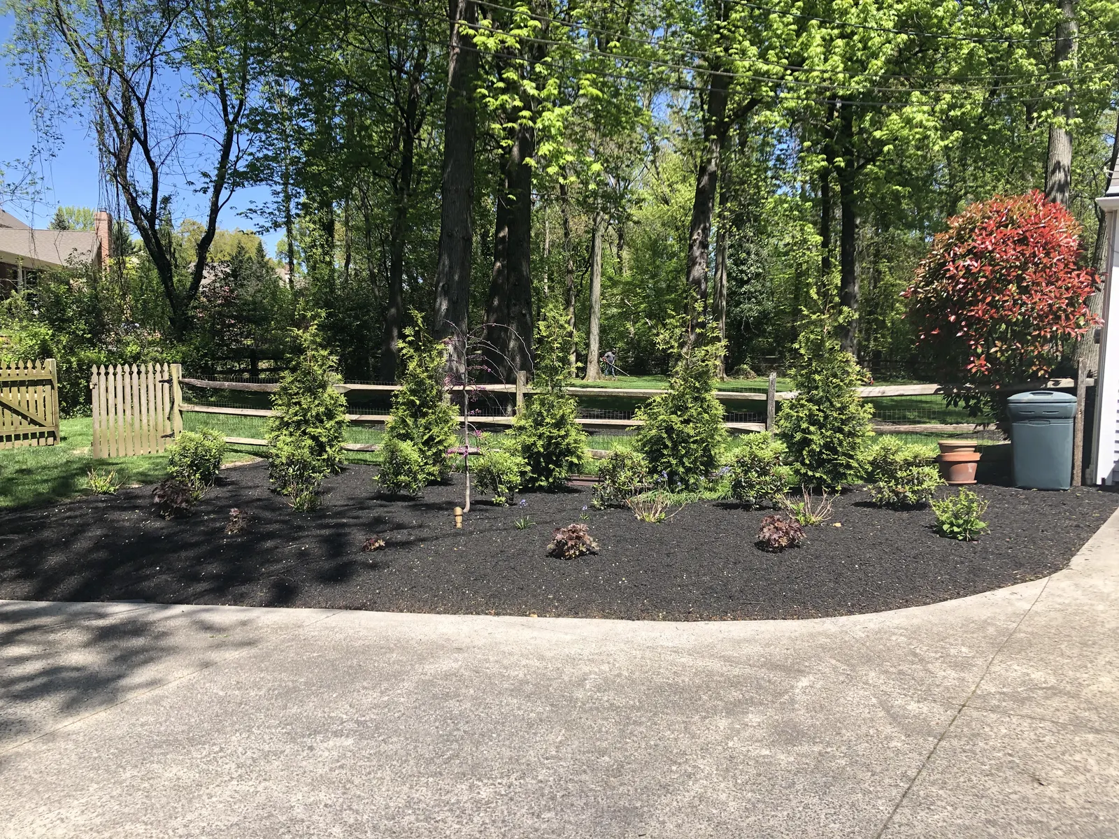 Driveway Planting Design by Down To Earth Landscaping.