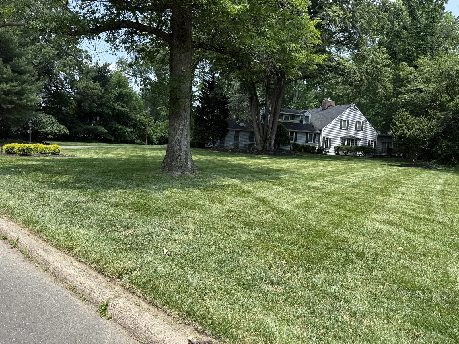 Large Lawn Finished by Down To Earth Landscaping.
