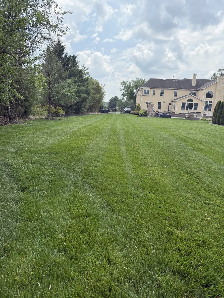 Large Lawn Finished by Down To Earth Landscaping.
