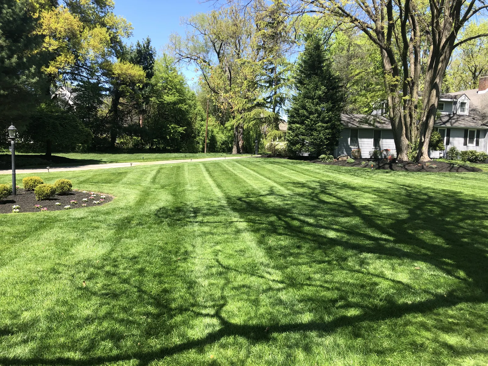 Striped Lawn Finished by Down To Earth Landscaping.