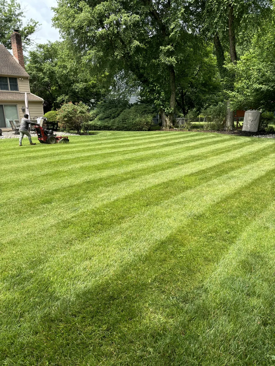 Striped Lawn Finished by Down To Earth Landscaping.