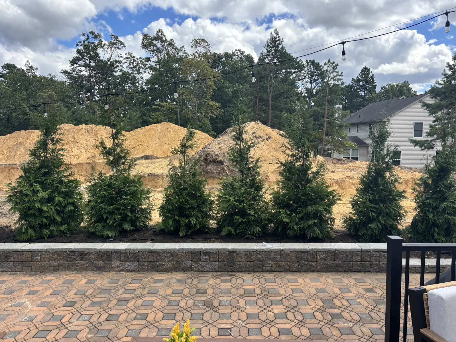 Privacy Wall Planting After by Down To Earth Landscaping.