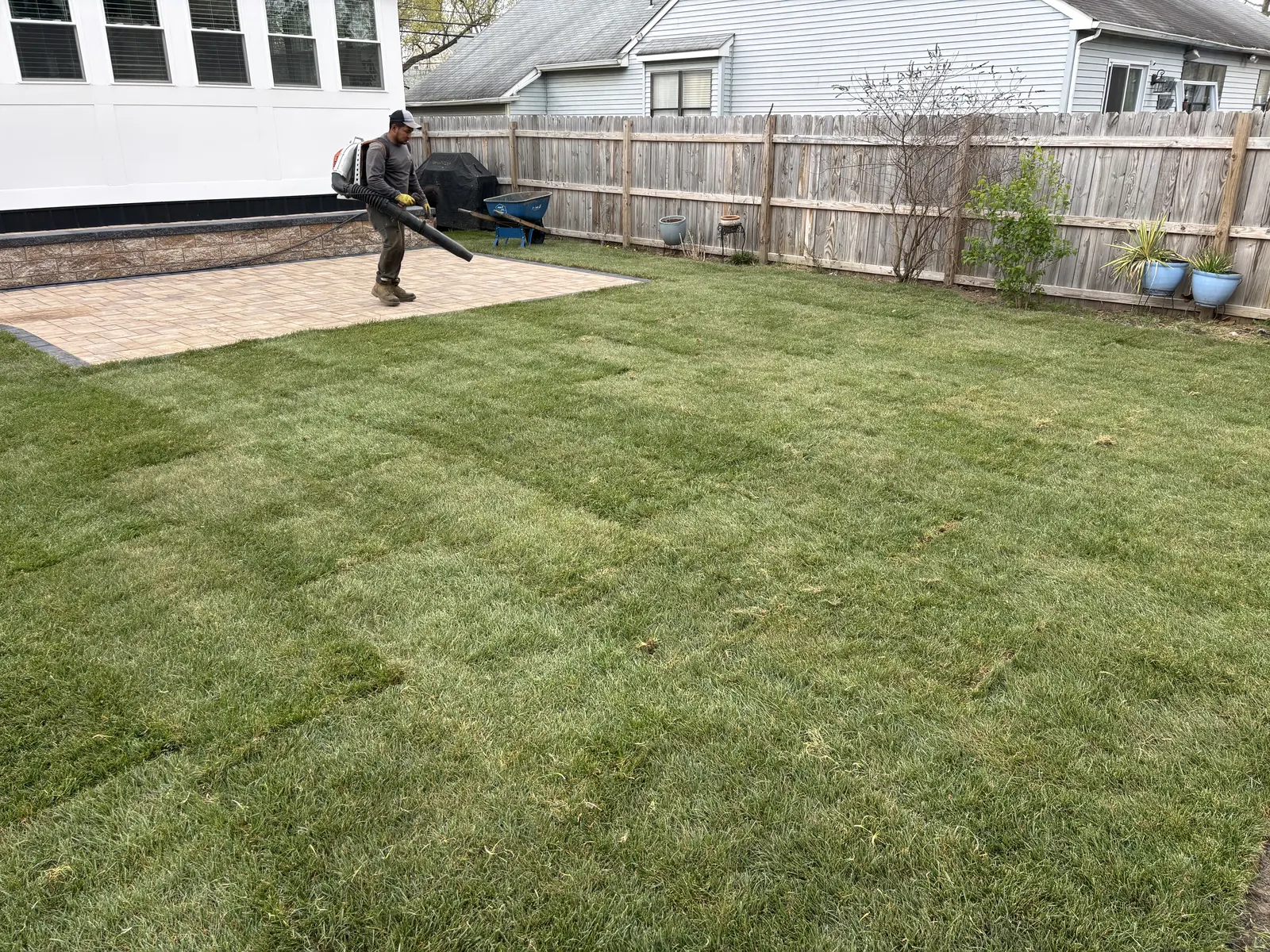 Backyard Sod Installation by Down To Earth Landscaping.