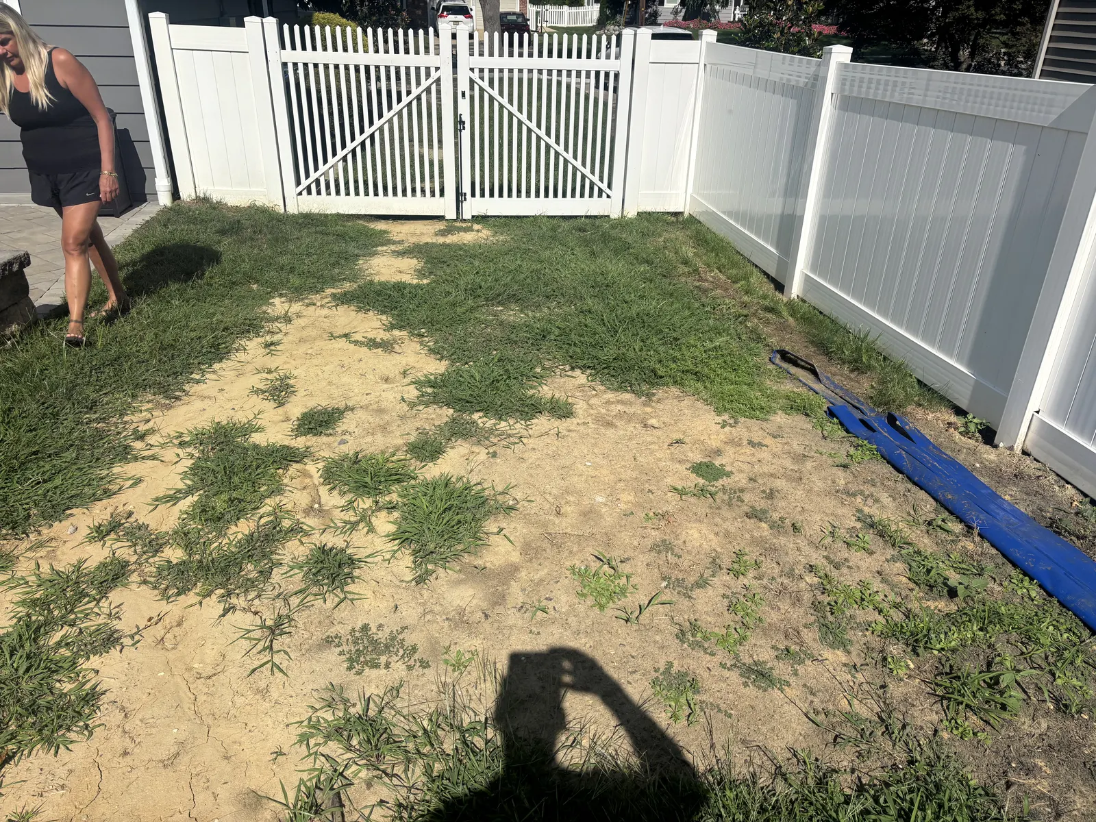 Pool Yard Lawn Before by Down To Earth Landscaping.